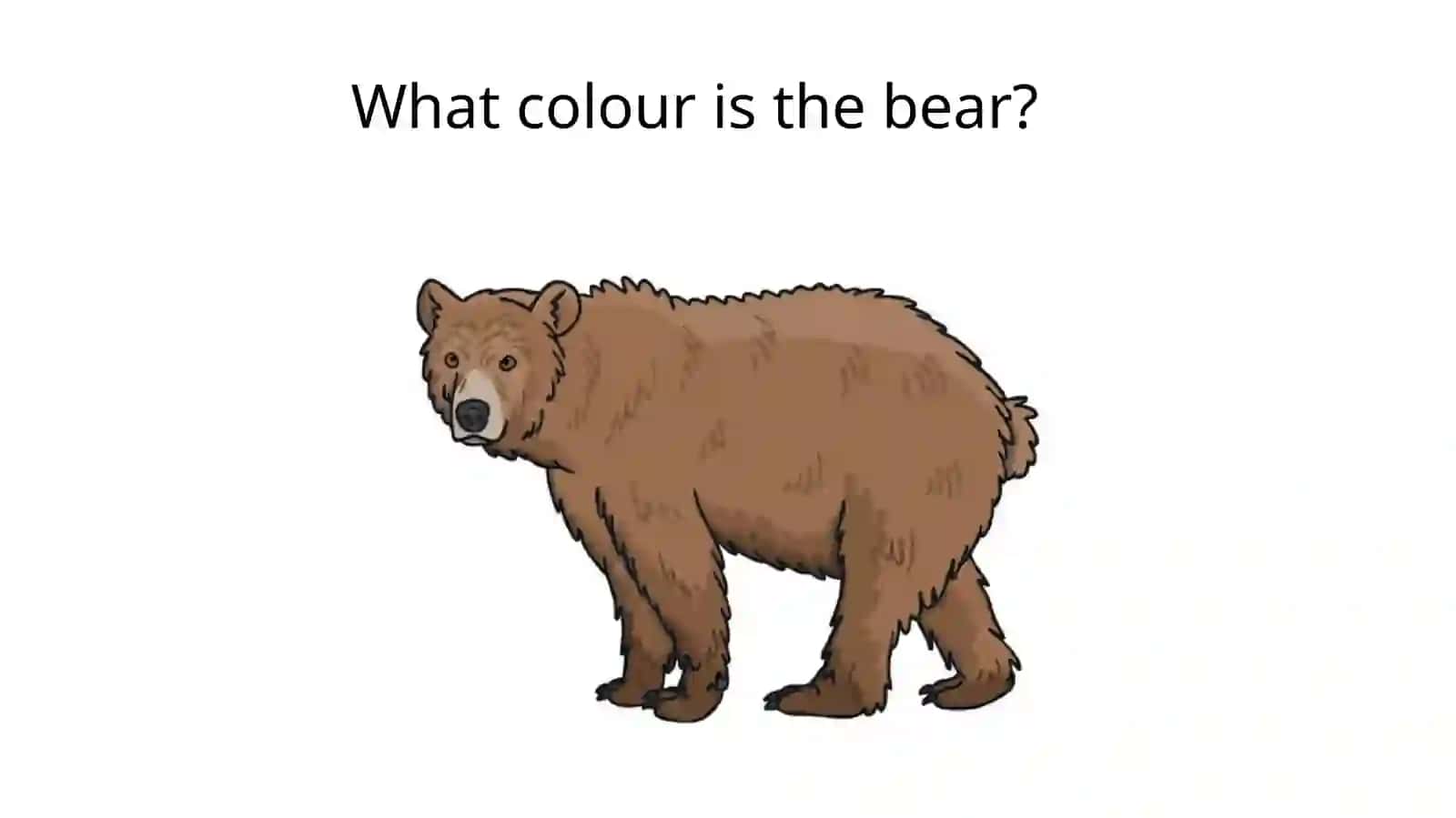 Coloursand animals 4