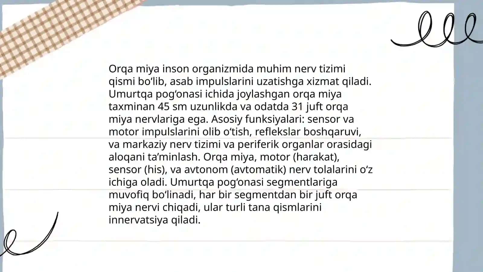 Orqa miya 4