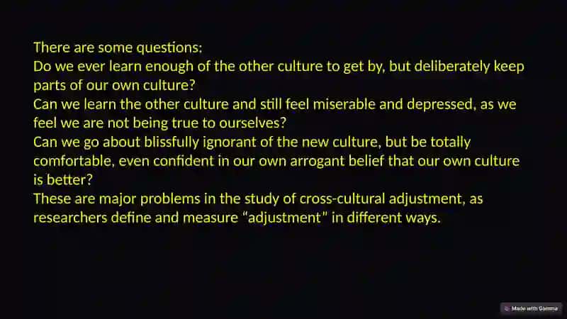 Adaptation and intercultural competence 4
