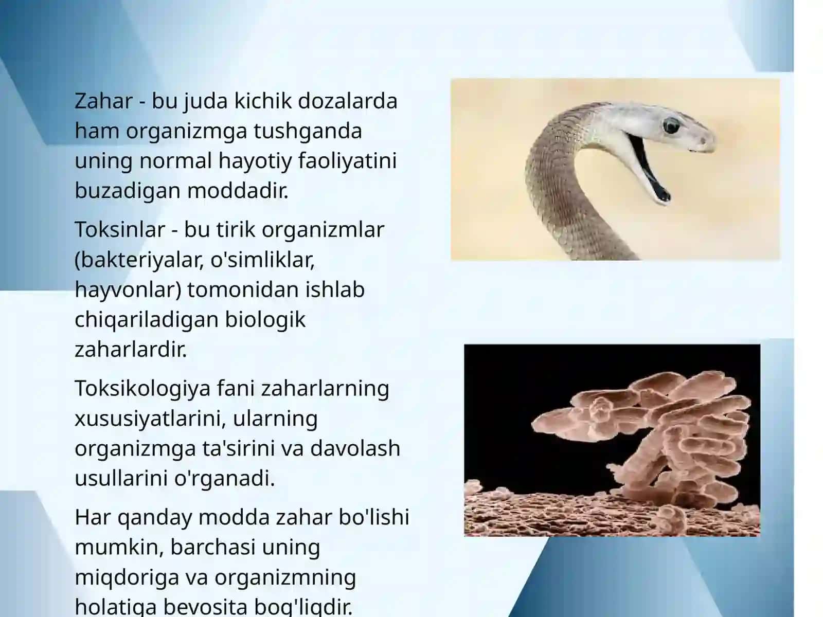Zaharvatoksinlar 4