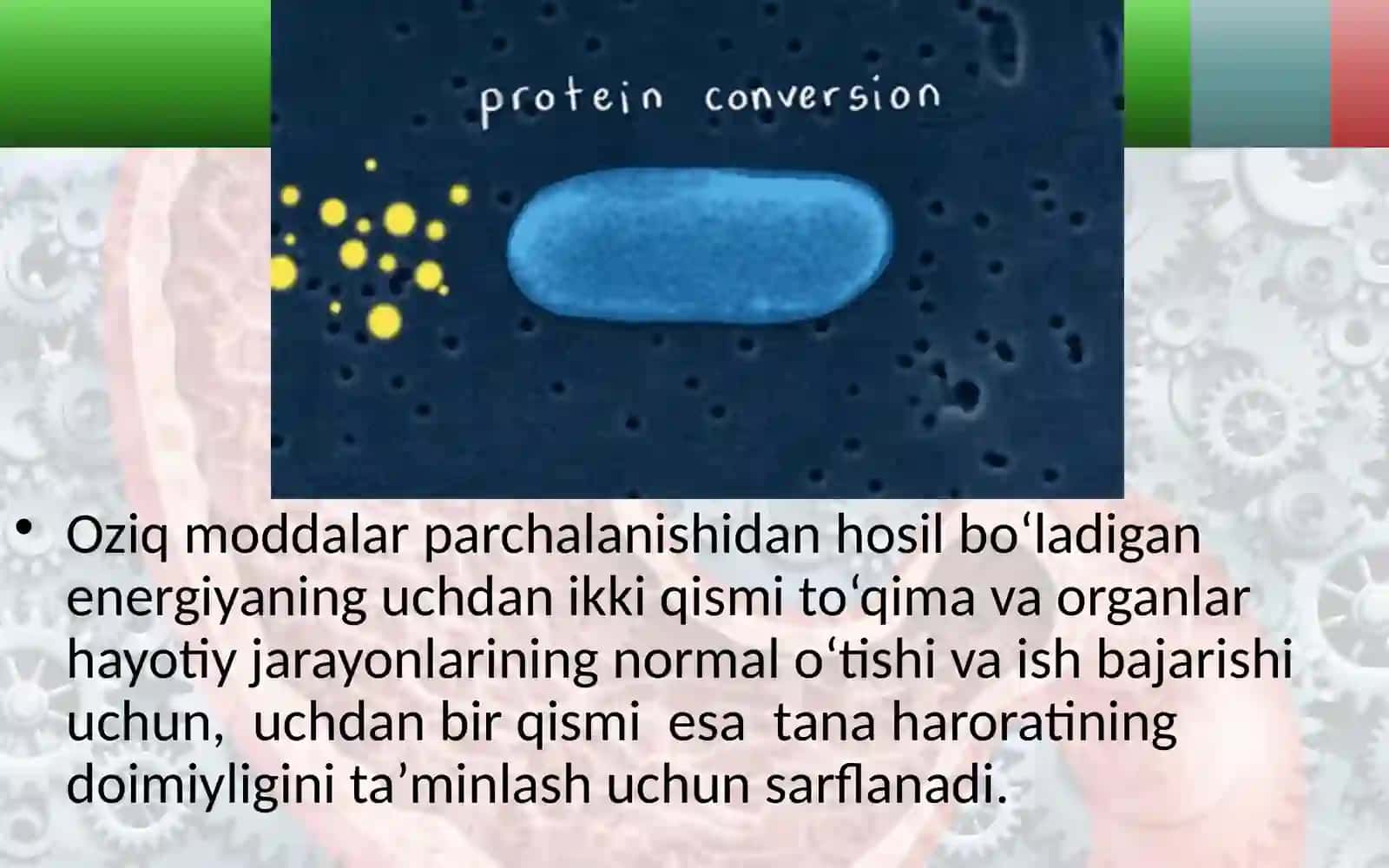Energiya almashinuvi 4