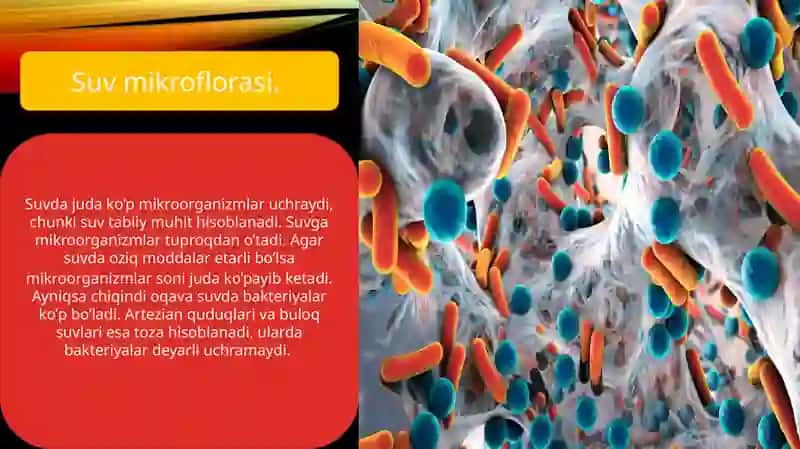 Mikrobiologiya va virusologiya 4