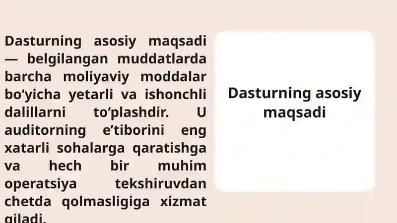 Auditorlik tekshiruvi ishchi dasturi 4