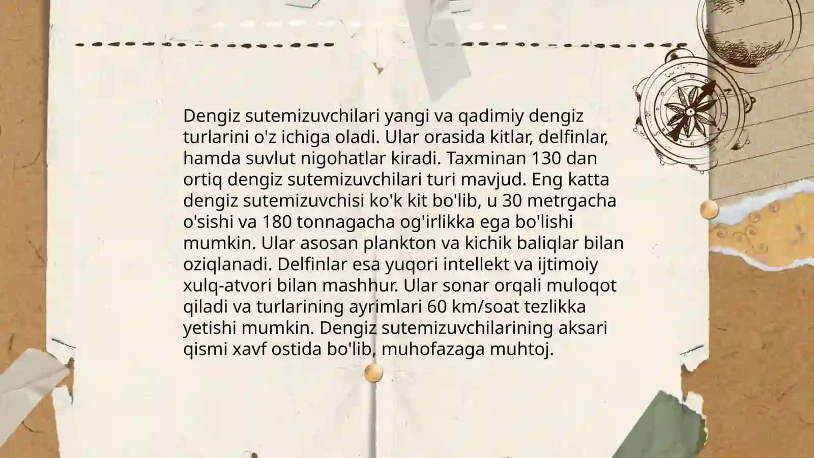 Dengiz hayvonlari 4