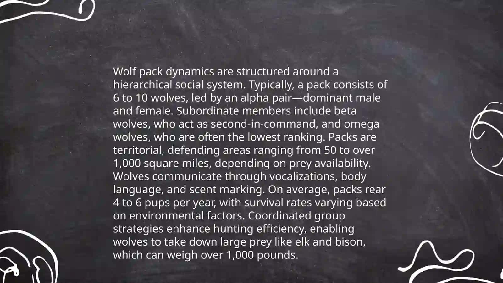 Wolf Behavior 4