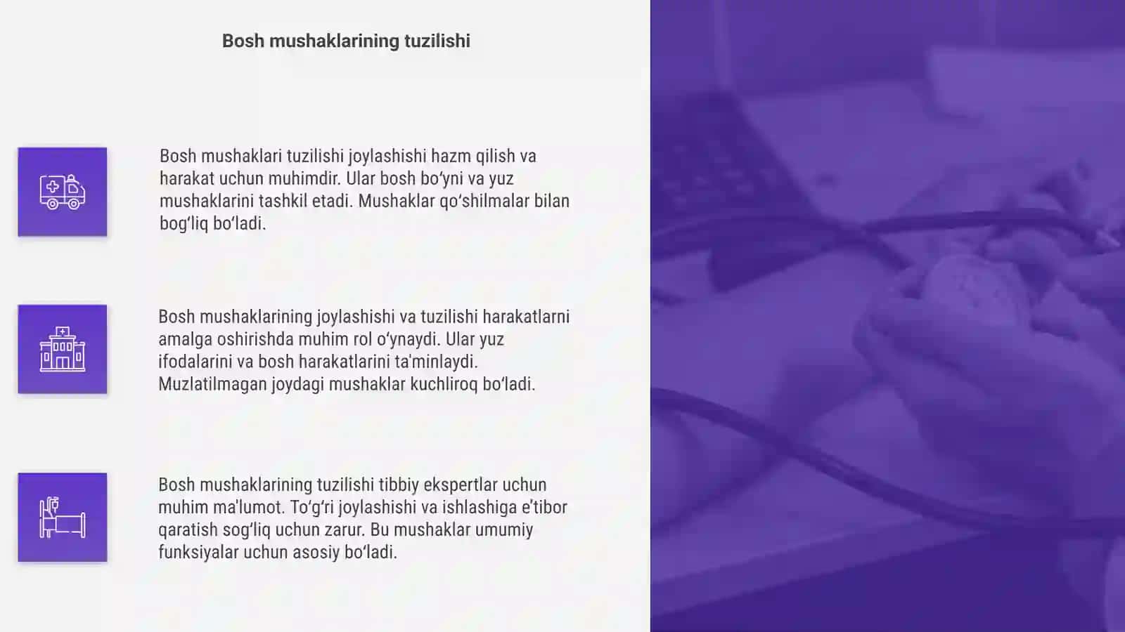 Bosh mushaklari tuzilishi joylashishi 4