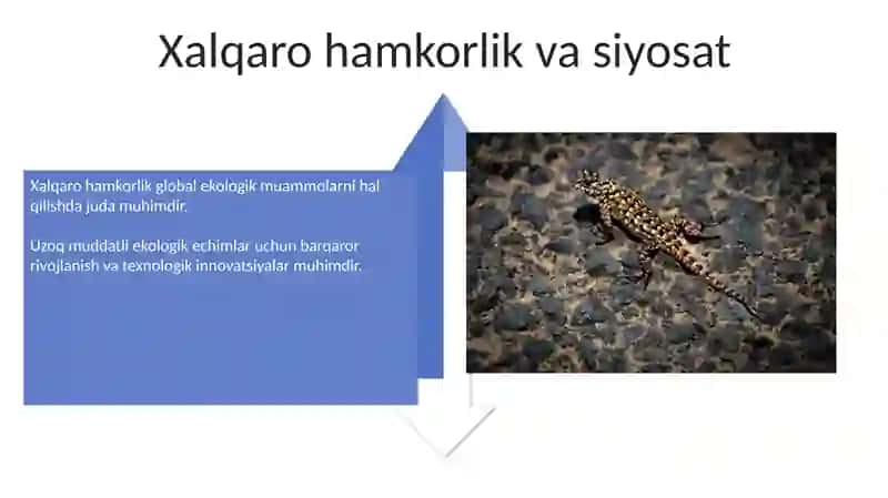 Ekalogik muammolarni mohiyati va hal etish yo'llari 4