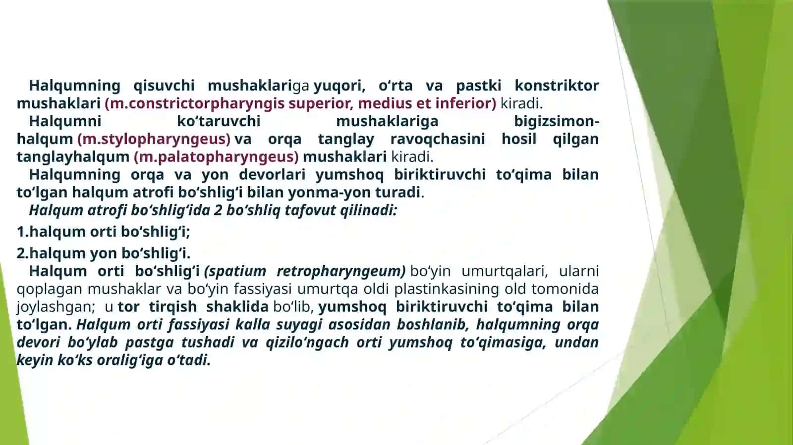 Halqumning klinik anatomiyasi. Halqum limfoadenoida] halqasining morfo-fiziologik Harakteristikasi. LOR a`zolarining yoshga qarab o*ziga xos tuzilishi, topografiyasi va bularning LOR a'zolari patologiyasida ahamiyati. Halqumni endoskopik tekshirish usullari. Faringoskopiya 4