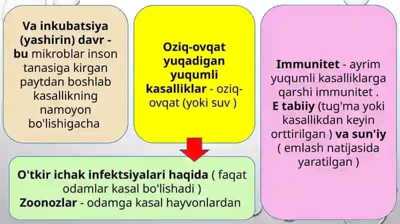 Ichakning yuqumli kasalliklari, zoonozlar, gelmintozlar va ularning oldini olish 4