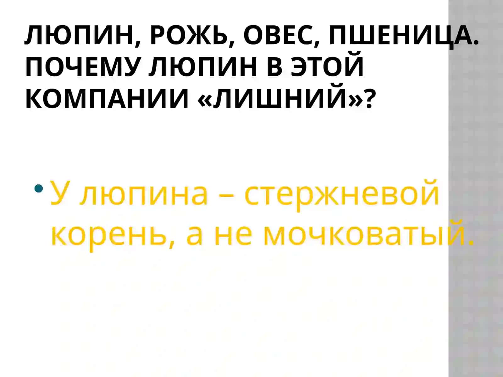 Корень 4