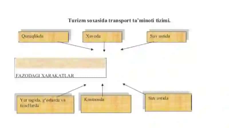 Turistlarga maxsus transport vositalarida xizmat kôrsatish 4