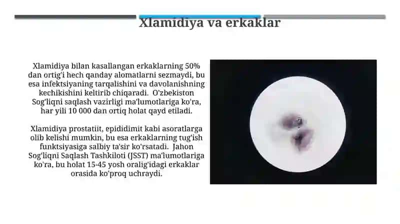 Patagen Xlamidiya 4