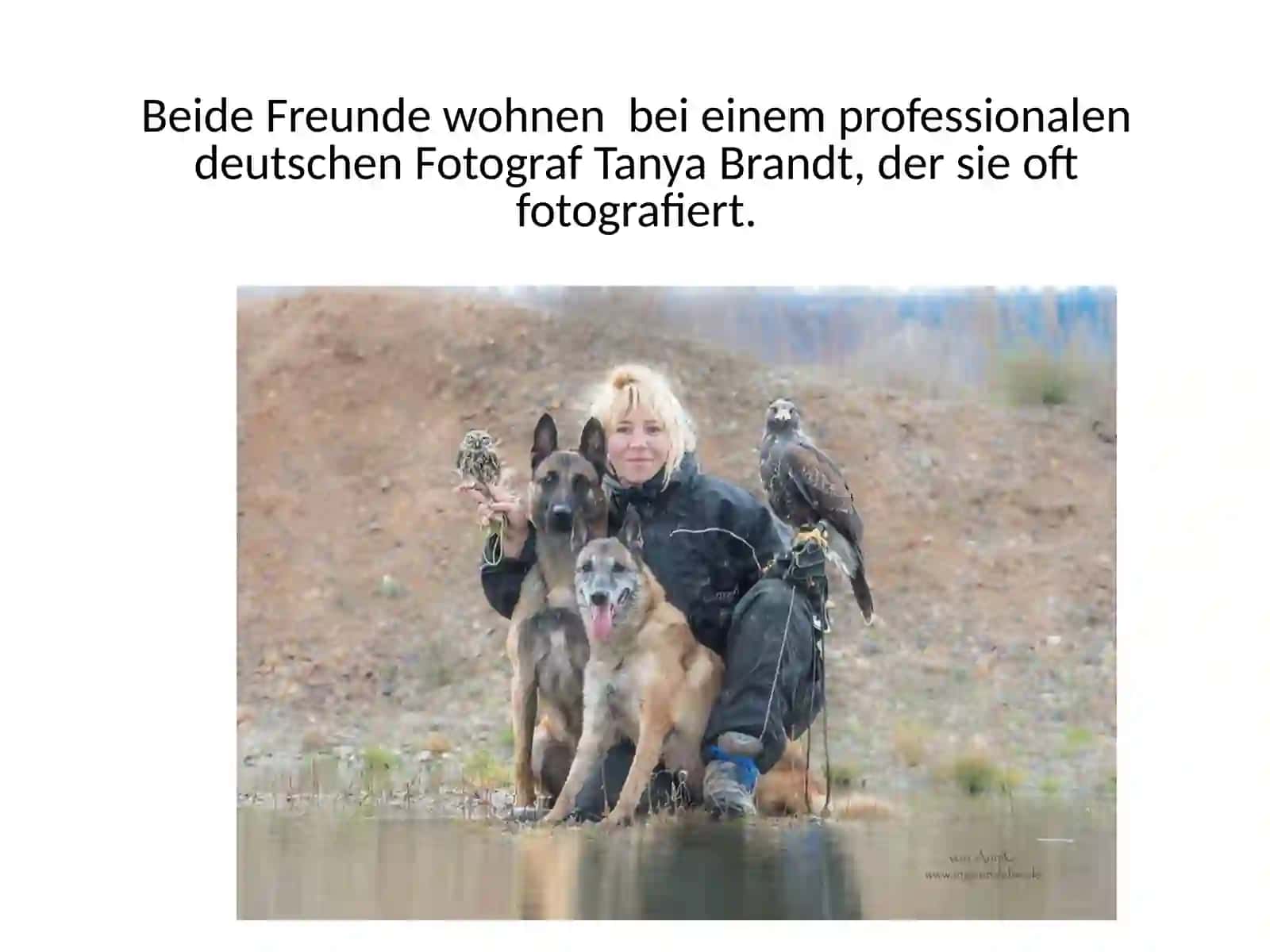 BesteFreunde 4