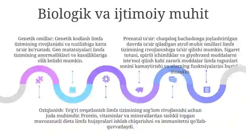 Limfa Tomirlarining Taraqqiyotiga Va Tuzilishiga Ijtimoiy Va Biologik Muhitlarning Ta'Siri 4
