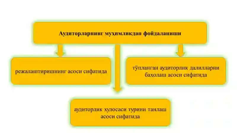AUDITORLIK TEKSHIRUVIDA MUHIMLIK  VA  RISK 4