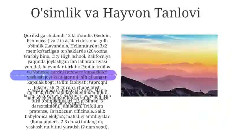 Tabiat burchagini tashkil etish va unda olib boriladigan o'quv ishlari 4