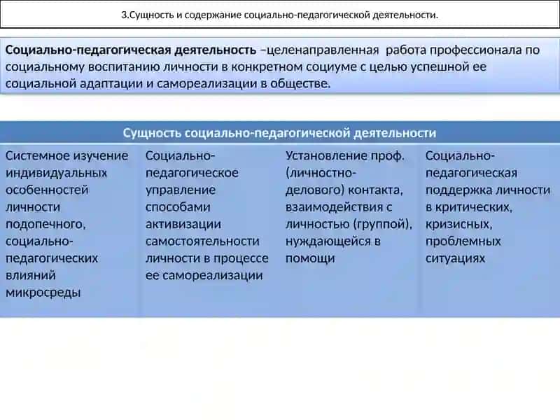 История развития социальной педагогики 4