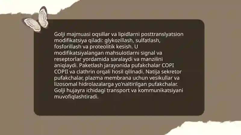 Sitoplazma organoidlari Golji majmuasi va lizosoma 4