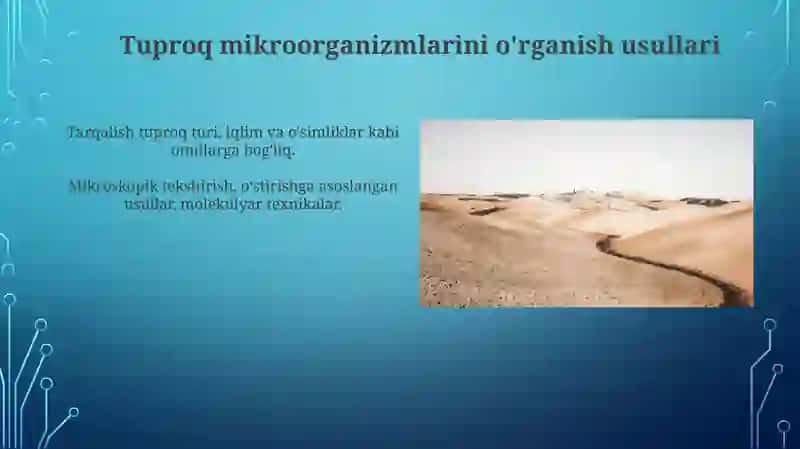 Tuproq mikroorganizmlarning tuproqda tarqalishi 4
