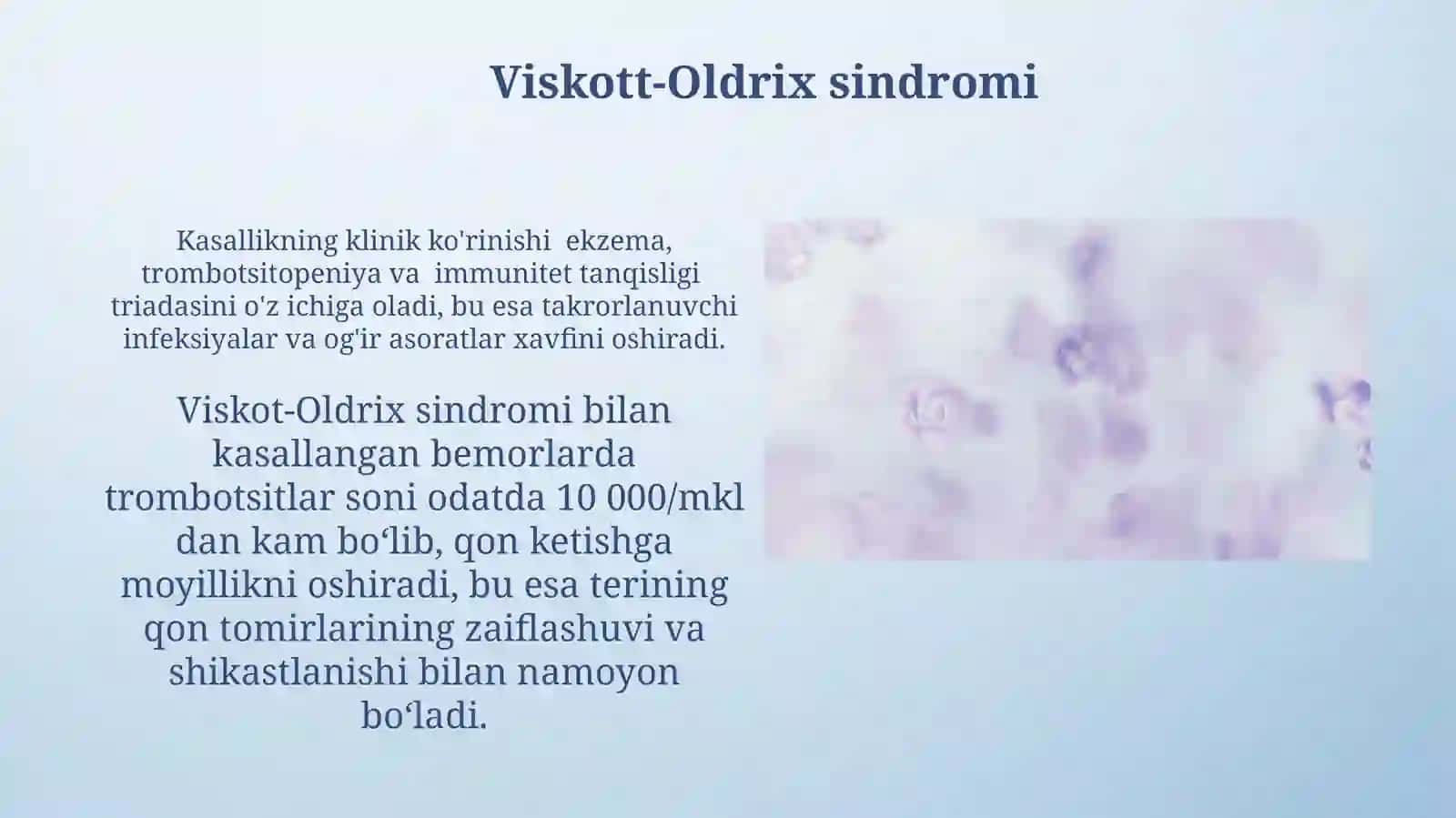 Leykositlar metabolizmi xususiyatlari 4