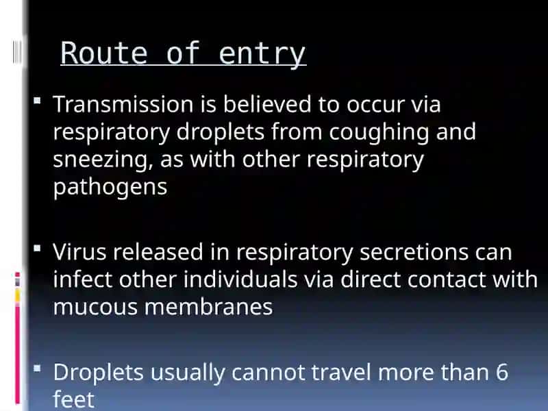 Coronavirus Infection 4