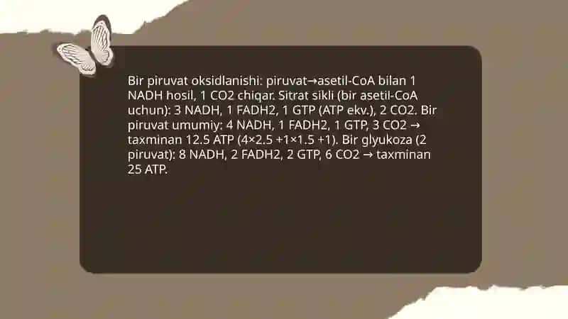 Metabolizm jarayonida energiya hosil bo'lishi va sarflanishi 4