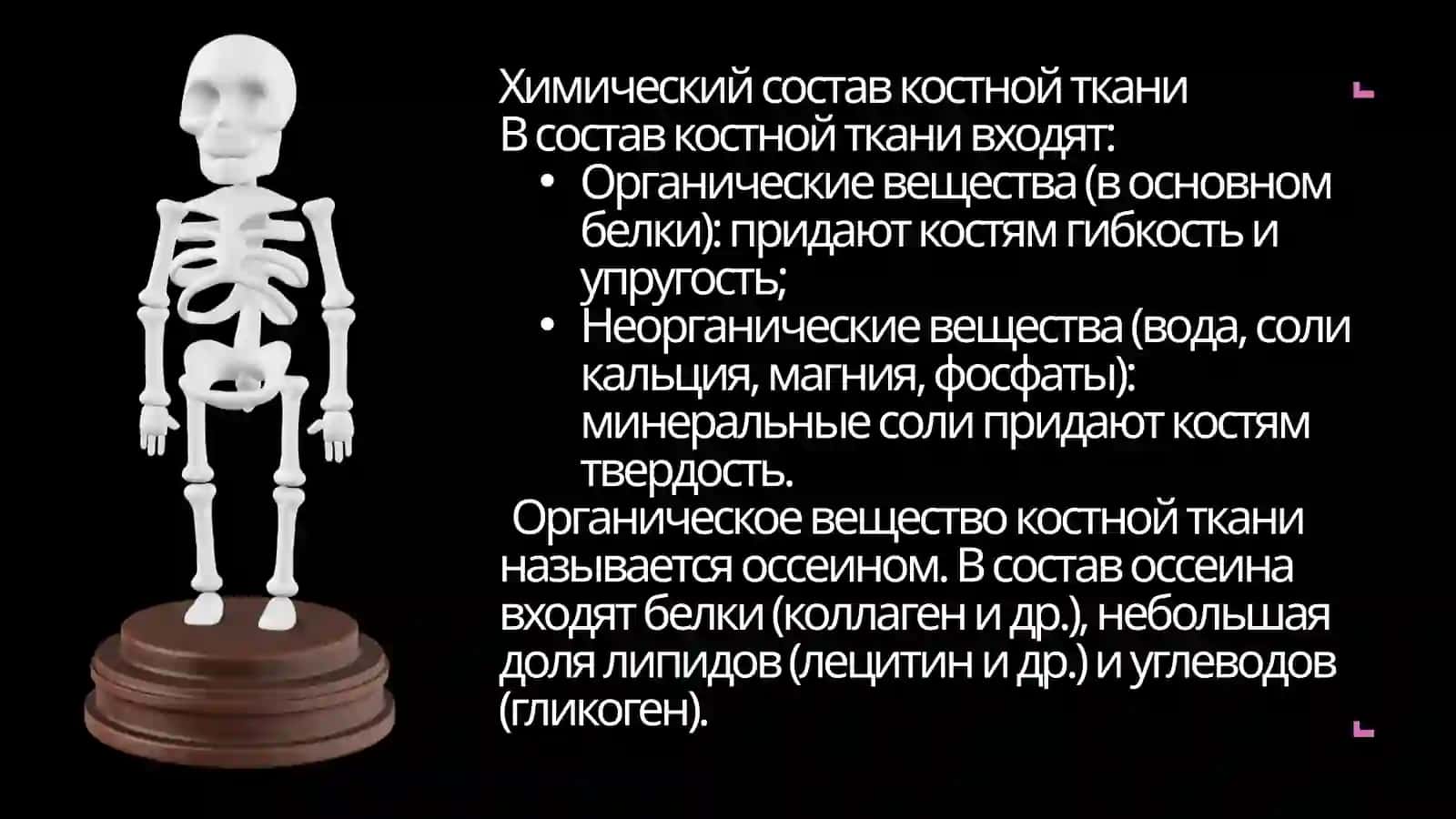Опорно-двигательный аппарат 4
