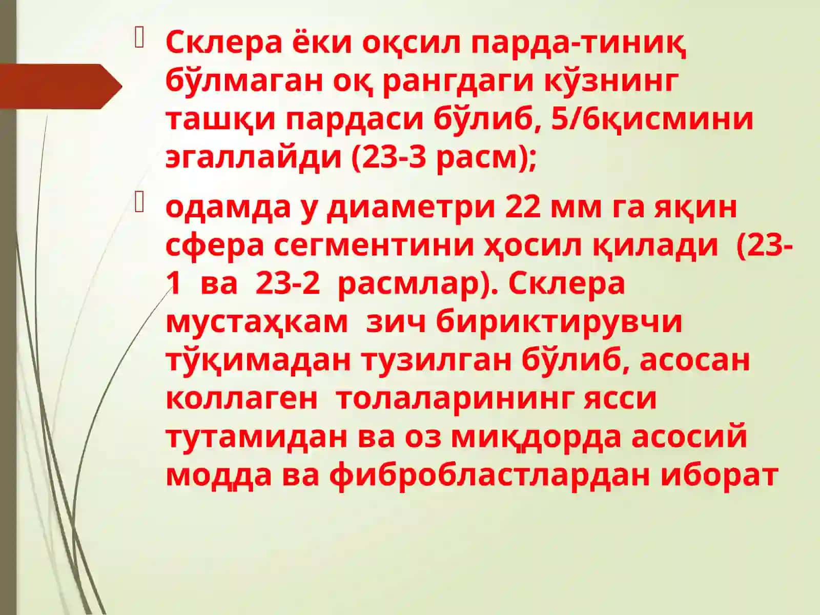 FOTORETSEPSIYANING MORFOLOGIK ASOSLARI 4