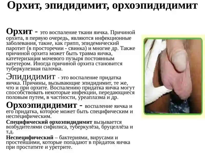 Актуальность 4