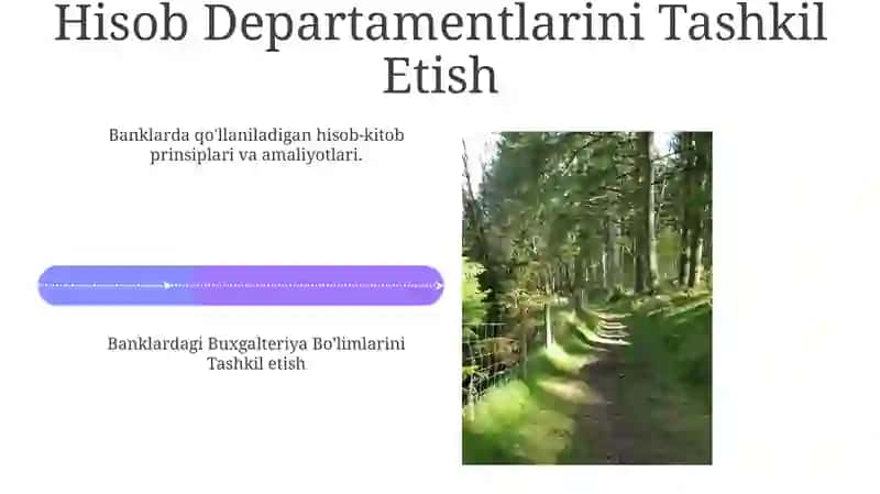 O'zbek banklaridagi buxgalteriya amaliyoti 4