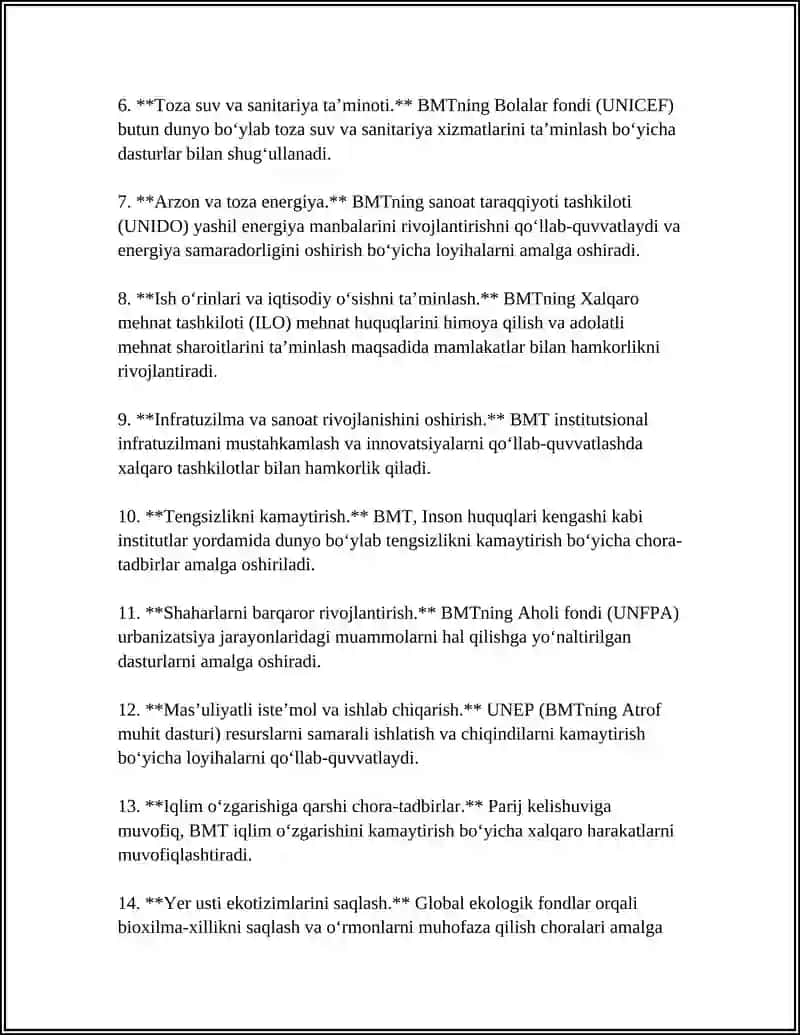 BMT VA XALQARO TASHKILOTLAR BILAN HAMKORLIK 4
