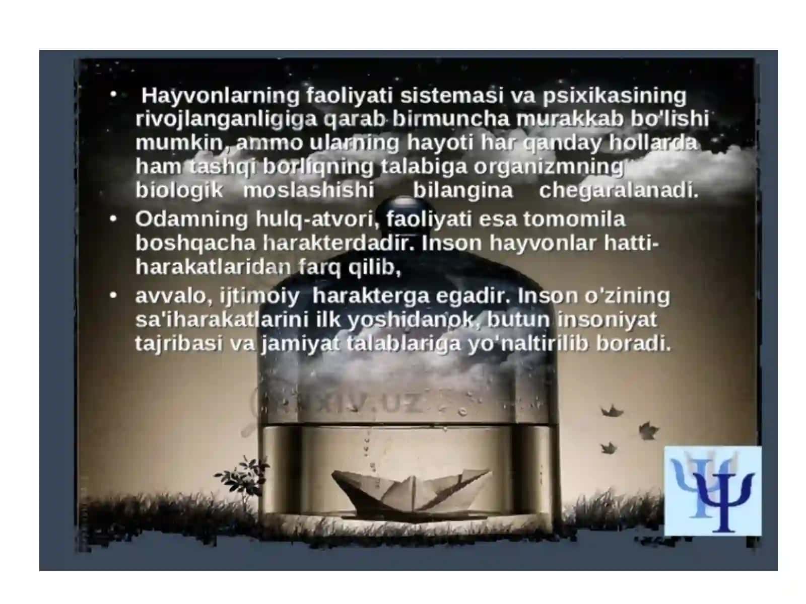 Kimyo yönalishi 1-kurs talabasi Kamoldinov Diyorbekning ONG mavzusi 4