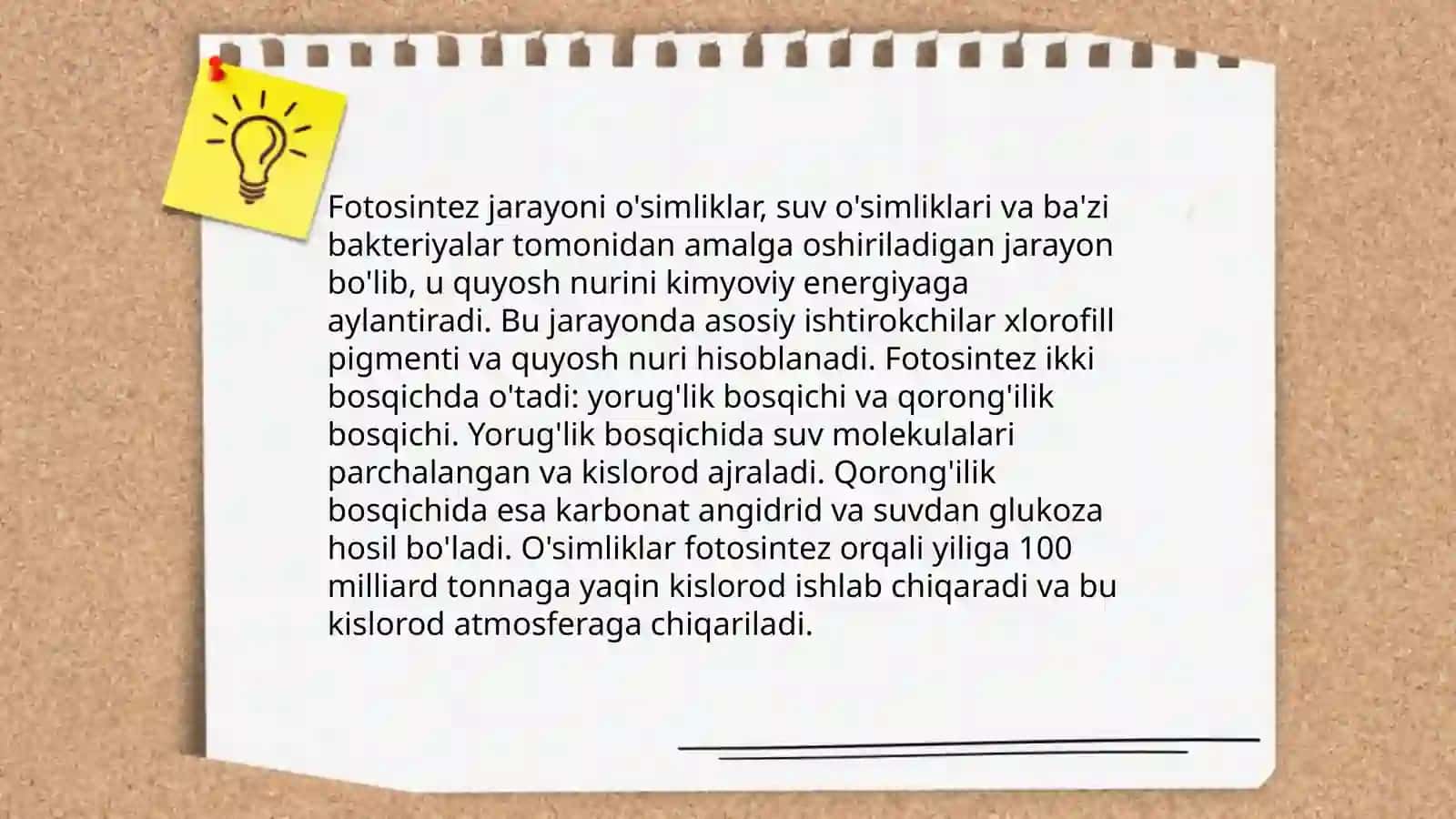 O'simliklar dunyosi va ularni yashash tarzi 4