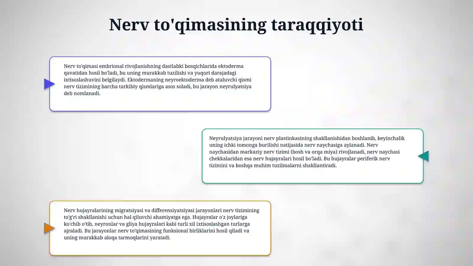 Nerv to’qimasi. 4