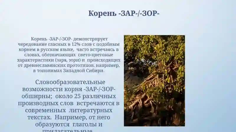 Чередование гласных в корнях слов. Правописание корней чередованием а/о 4