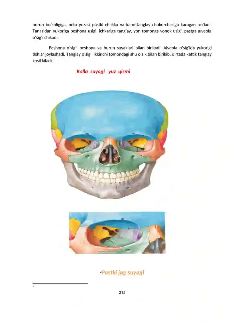 Osteosindesmologiya 4