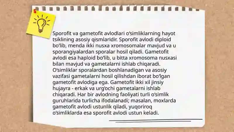 Yuksak sporalik osimliklar haqida umumiy tushuncha oziga xos belgilari klassifikatsiyasi 4