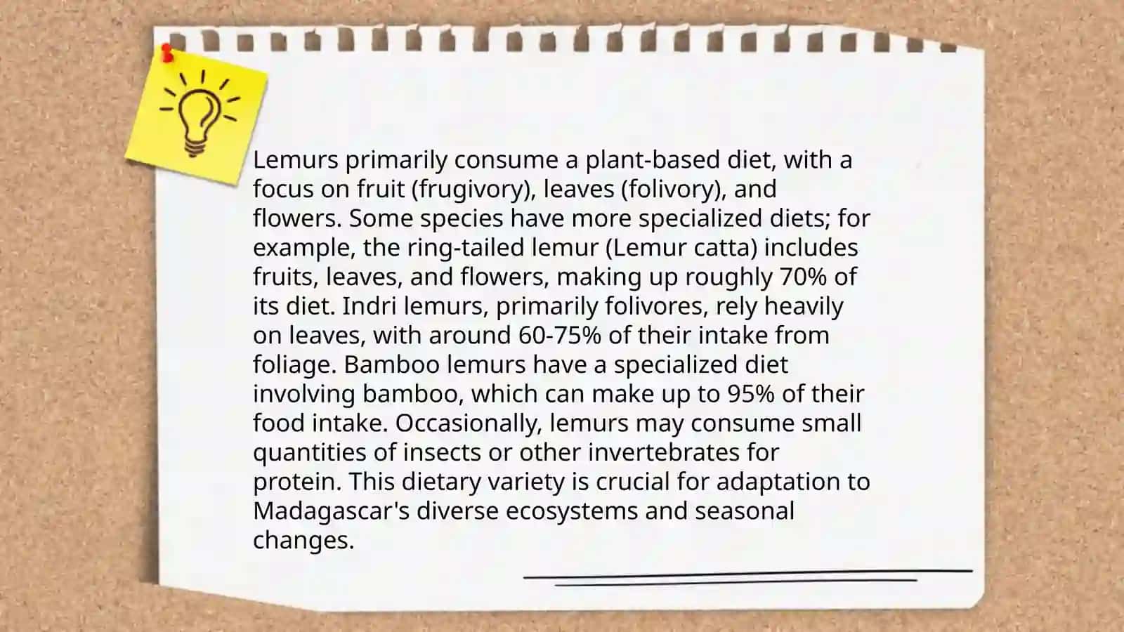 Lemur 4