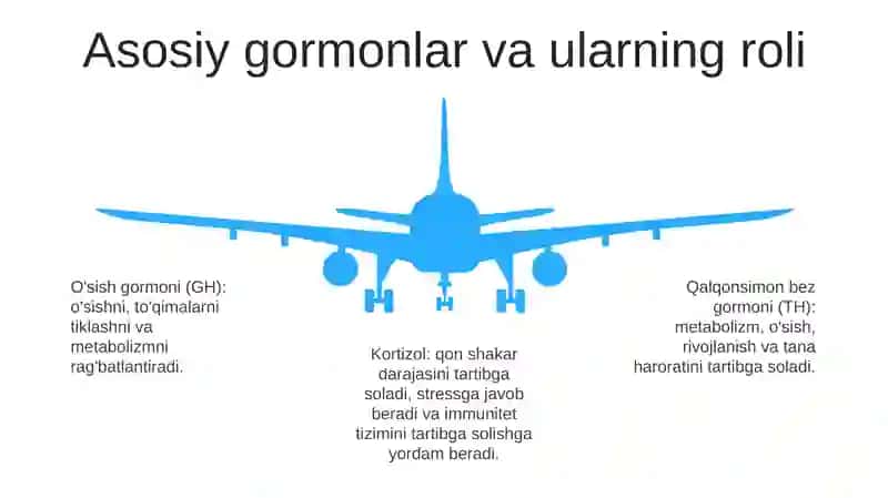 Endokrin Bezlar 4