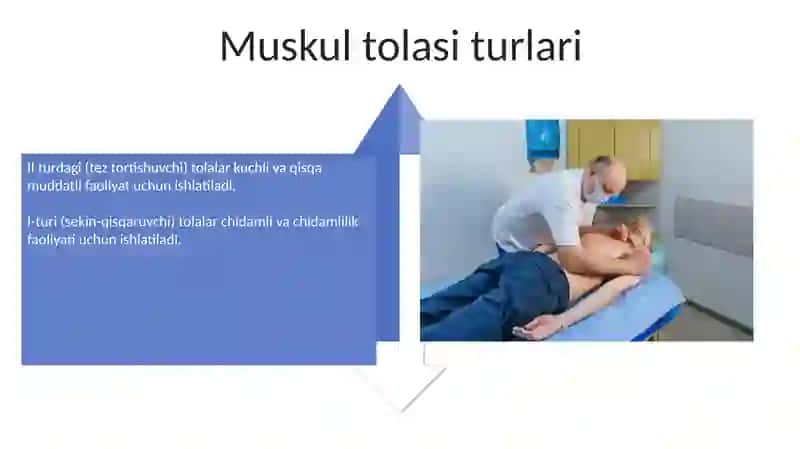 Klinik muskul anatomiyasi va fiziologiyasi 4