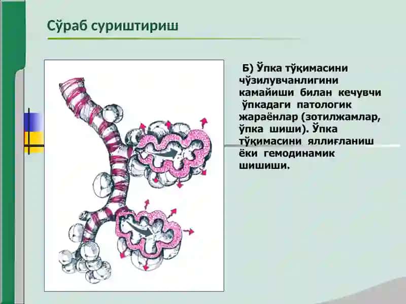 Хансираш (dyspnea) 4