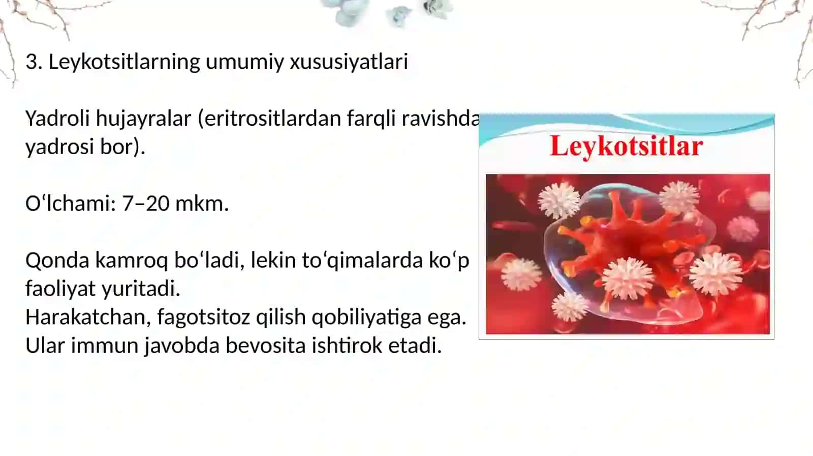 Leykotsitoz va Leykopeniya 4