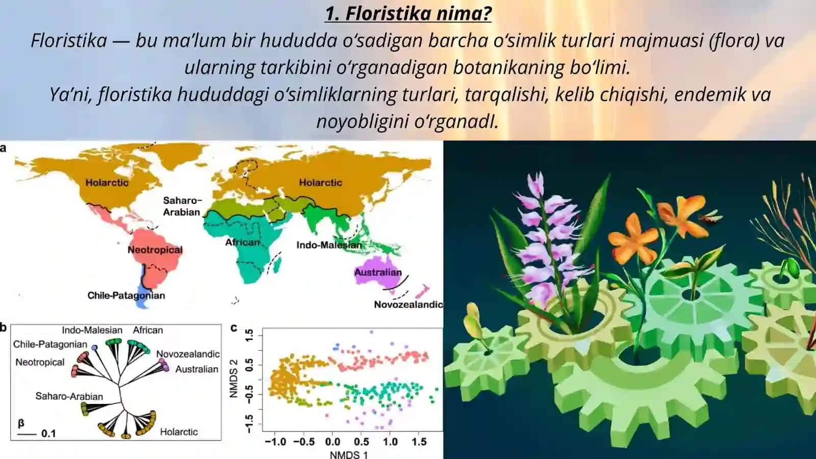 BIOGEOGRAFIyA TAQDIMOT 4