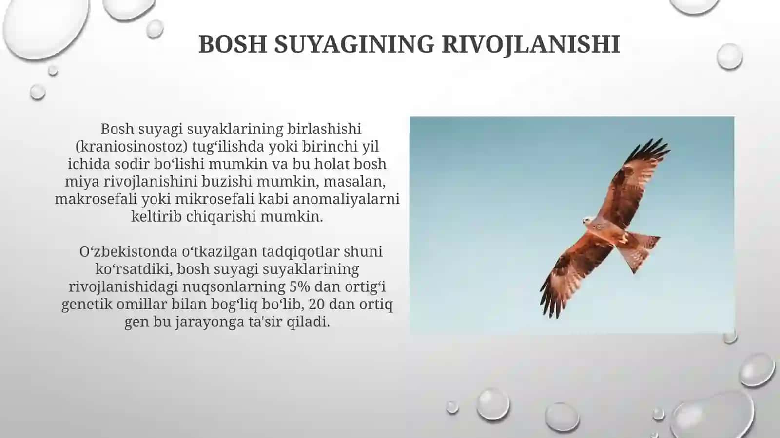 Yosh bolalaming kallasuylaklari 4