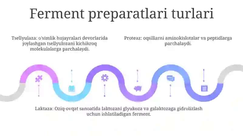 Ferment Preparatlari 4