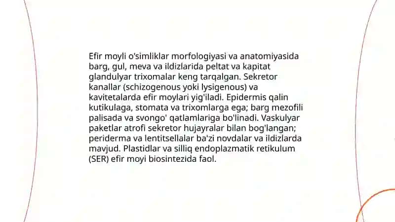Efir moyli dorivor o'simliklar biologiyasi va ekologiyasini o'rganish 4