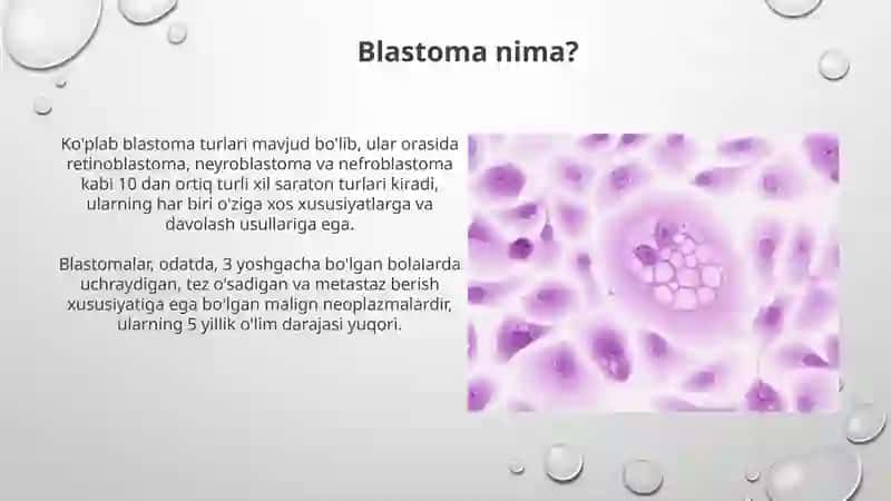 Blastomalar haqida tushuncha.Blastomalarga qarshi vositalarning tasnifi va tasir turlari, terapevtik dozalari, qo‘llanilishi,ulardan zaharlanish belgilari, zaharlanishda yordam choralari 4