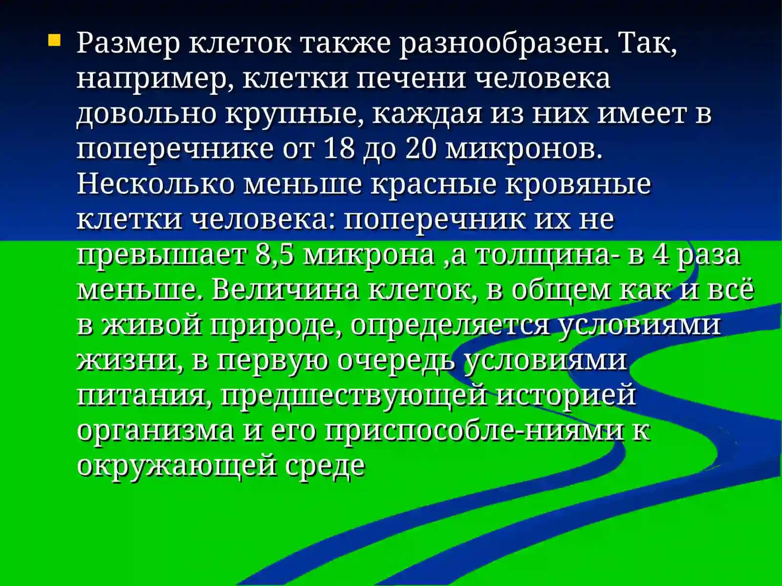 Клетка 4