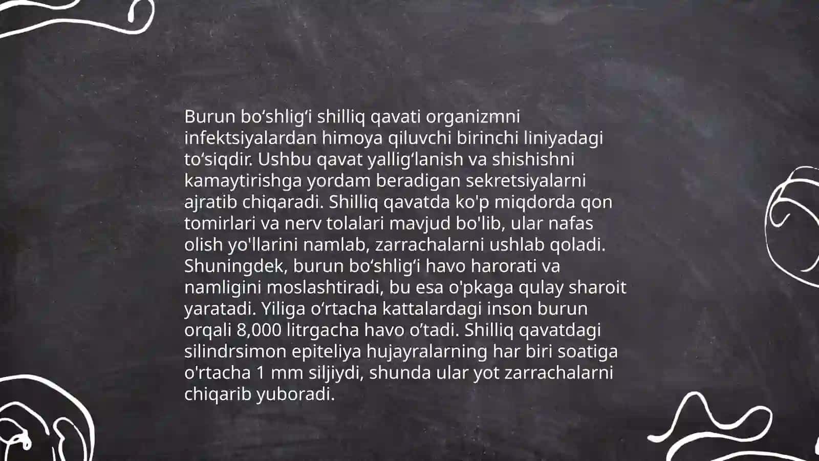 Burun boʻshligʻining anatomik tuzilishi 4