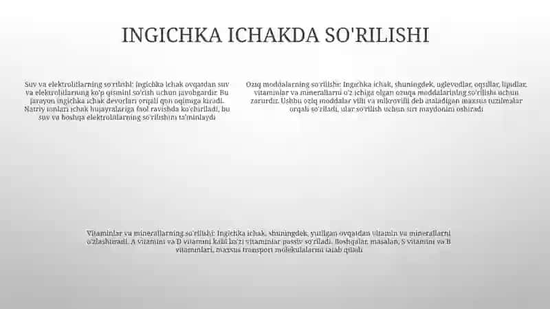 Odam Va Xayvonlar Ingichka Va Yo‘G‘On Ichagida Ovqat Hazm Bo‘Lishini O‘Ziga Xosligi 4